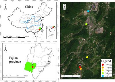 Nitrogen and phosphorous dynamics with stand development of Pinus massoniana plantations in Southeast China